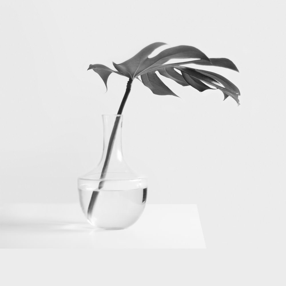 Lorem ipsum dolor sit